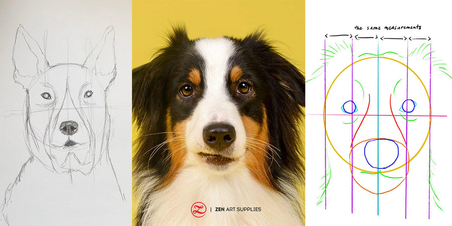 How To Draw A Dog Step-by-Step